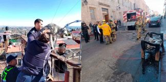 Perrito es rescatado del inmueble incendiado esta mañana en el Centro de Morelia