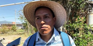 #VIDEO | Productores de peces en Pátzcuaro, han liberado más de 10 mil ejemplares en el lago
