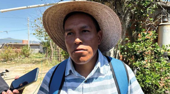 #VIDEO | Productores de peces en Pátzcuaro, han liberado más de 10 mil ejemplares en el lago