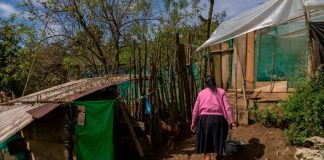 La pobreza en mujeres mexicanas: Una brecha persistente a pesar de los avances