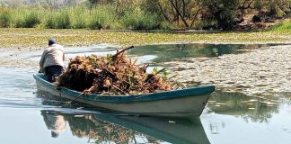 #Imágenes | Avanza rescate de La Mintzita; extraídos más de mil metros cúbicos de maleza: Secma