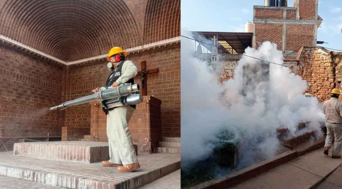 Con acciones preventivas, baja 52 % dengue en Michoacán: SSM
