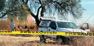 #Video | Hallan a hombre asesinado en la colonia Ampliación La Aldea, Morelia