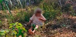 Abuelita es abandonada en un terreno baldío; sus propios hijos serían los responsables #México