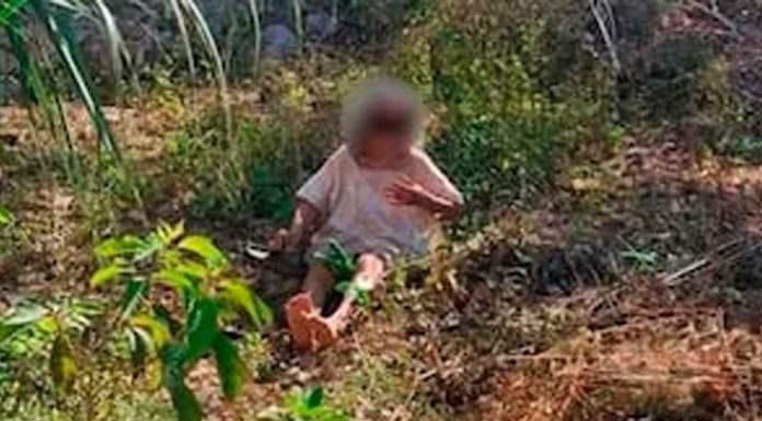 Abuelita es abandonada en un terreno baldío; sus propios hijos serían los responsables #México