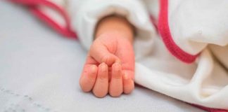 Madre e hijo atropellados en Puebla; niño de dos años fallece