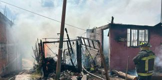 #Video | Bomberos estatales rescatan 3 caninos de un incendio de casa en Morelia
