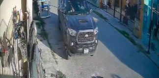 #Video // Atropellan repetidamente a perrita con una camioneta #México