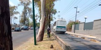Ayuntamiento de Morelia realiza acciones de mantenimiento y embellecimiento urbano al poniente