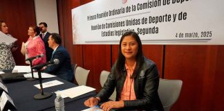 No a la difamación contra México: Celeste Ascencio