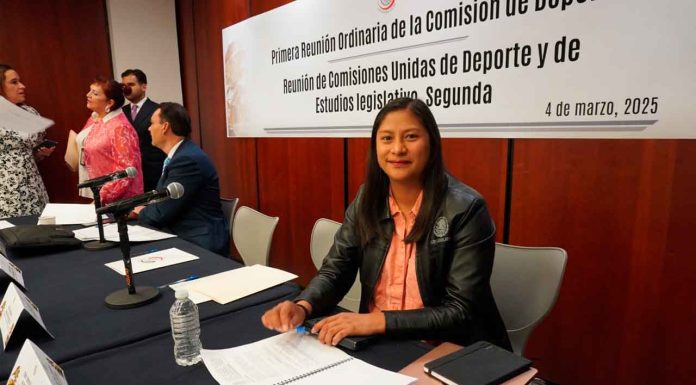 No a la difamación contra México: Celeste Ascencio