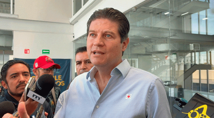 Se analizarán posibles casos de maltrato de animales en Morelia