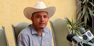 Detectada la presencia de colombianos en grupos delincuenciales de Tierra Caliente y Costa, asegura Cemeí Verdía