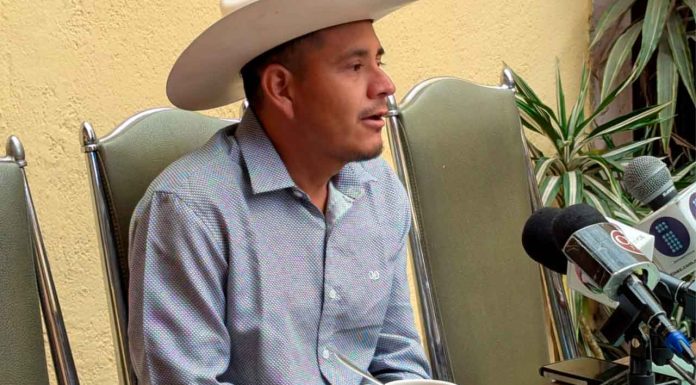 Latente tomar las armas para defender la Tierra Caliente del estado: Cemeí Verdía