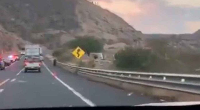 #Video // Encuentran ocho cuerpos sin vida en la carretera #Mexico