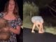 #Video | Influencer estadounidense desata indignación en Australia al separar una cría de Wómbat de su madre