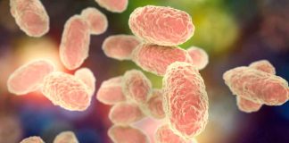 Bebé pierde la vida por tos ferina en #México; confirman otros 35 casos