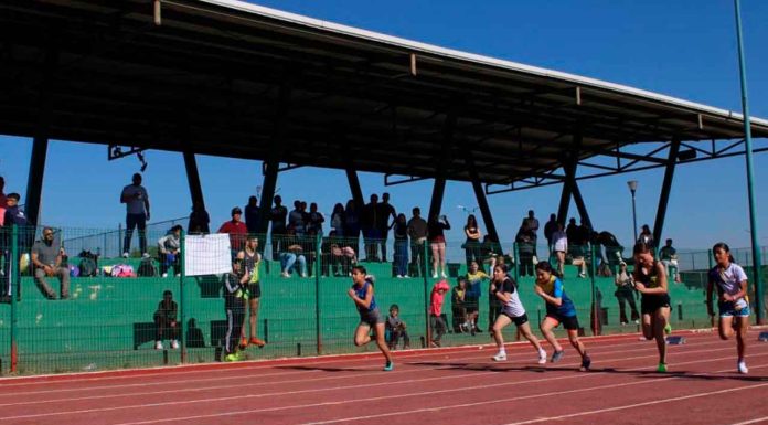 Quedaron definidos las y los atletas nicolaitas que calificaron al regional de la Universiada 2025