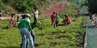 Más de 300 mil reforestaciones en la zona urbana de la capital michoacana se han realizado desde 2022 a la fecha