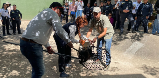 Personal de Zoológico de Morelia se capacita en rescate animal