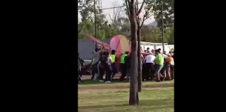#VIDEO | Colapsa estructura durante el Festival Ceremonia en el Parque Bicentenario; reportan heridos