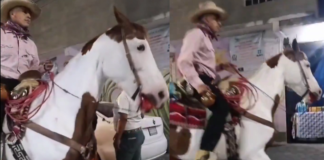 #Video | En México: Caballo era montado por un hombre y pese a que al animal le sangraba el hocico nadie hizo nada para ayudarlo