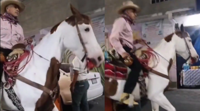 #Video | En México: Caballo era montado por un hombre y pese a que al animal le sangraba el hocico nadie hizo nada para ayudarlo