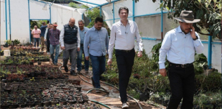 Gobierno de Alfonso Martínez recupera ojo de agua del Vivero Municipal