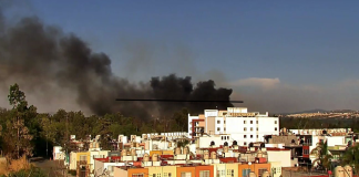 #VIDEO | Brigadistas estatales y municipales atienden incendio forestal en Epitacio Huerta