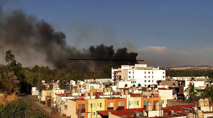 #VIDEO | Brigadistas estatales y municipales atienden incendio forestal en Epitacio Huerta