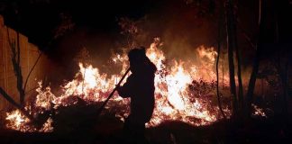 #Video | Atiende de manera inmediata Comisión Forestal incendio en Loma de Santa María