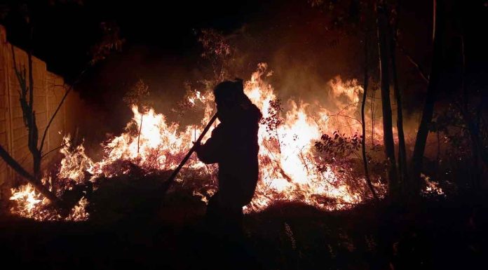 #Video | Atiende de manera inmediata Comisión Forestal incendio en Loma de Santa María