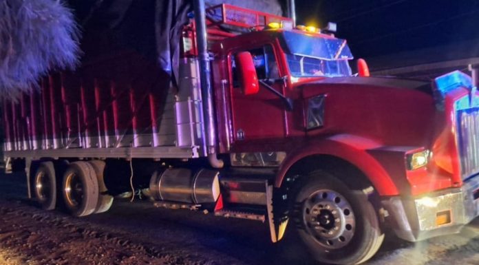 Guardia Civil Frustra robo de dos camiones aguacateros en Ziracuaretiro