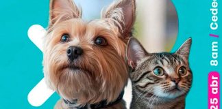 Gobierno de Zamora lanza campaña gratuita de esterilización de mascotas