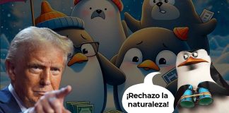 #Viral | ¿Ahora cómo pagarán los pingüinos y focas? Donald Trump impone aranceles a islas donde solo viven estos animalitos