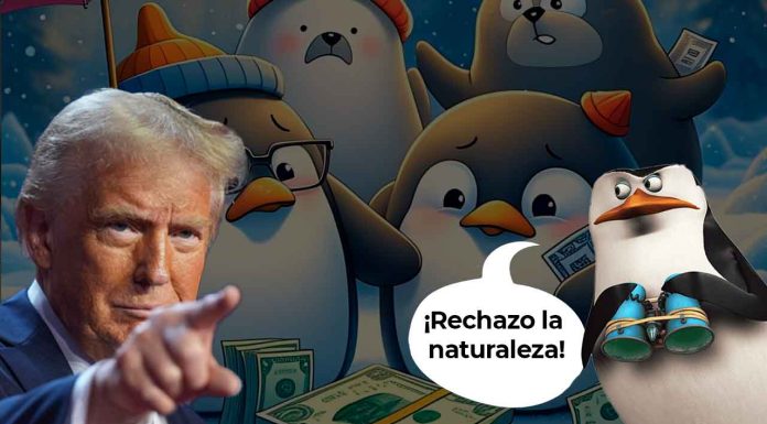 #Viral | ¿Ahora cómo pagarán los pingüinos y focas? Donald Trump impone aranceles a islas donde solo viven estos animalitos