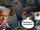 #Viral | ¿Ahora cómo pagarán los pingüinos y focas? Donald Trump impone aranceles a islas donde solo viven estos animalitos