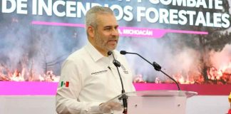 Brigadistas extinguen y controlan 6 incendios forestales en Michoacán
