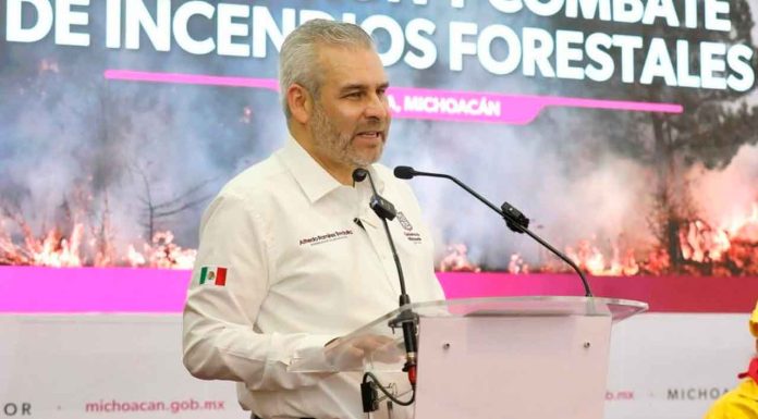 Brigadistas extinguen y controlan 6 incendios forestales en Michoacán