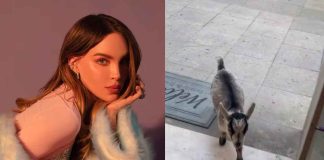 #Video | Belinda presume a Flora, su nueva y exótica mascota; aquí te contamos todo