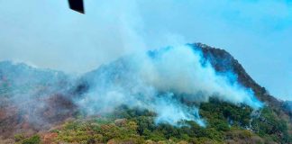 Brigadas continúan combatiendo incendio en Nocupétaro: Cofom