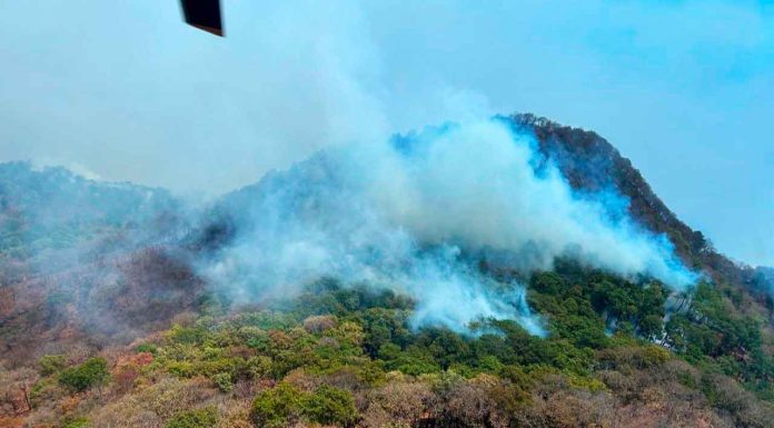 Brigadas continúan combatiendo incendio en Nocupétaro: Cofom
