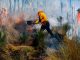 3 brigadistas han perdido la vida en el combate a los incendios forestales: CNPC