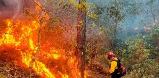 Contabilizados 9 incendios en el territorio michoacano