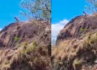 #VIDEO | Joven muere tras impactar con una enorme piedra al intentar realizar un clavado