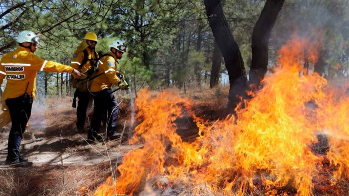 controlado-incendio-forestal