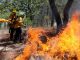 Controlado al 100 % el incendio forestal en Cojumatlán: Cofom