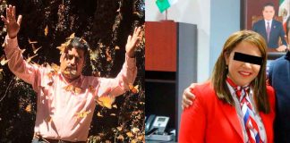 Reportan la captura de exsíndica de Ocampo, vinculada con el asesinato del activista de la mariposa monarca Homero Gómez