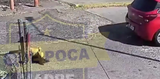 #VIDEO | Mujer atropella a niña en Villas del Pedregal y se da a la fuga; la menor esta grave