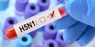 Confirman primer caso humano de influenza aviar H5N1 en México; se trata de una niña de 3 años